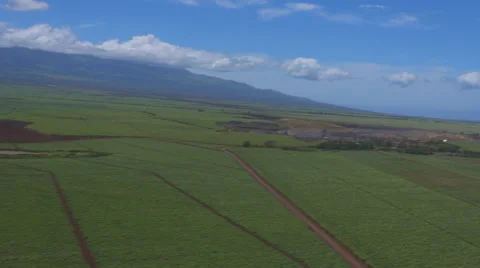 An Aerial View of Central Maui Stock Footage 51553656
