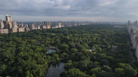 Aerial view of Central Park on a cloudy morning Video stock 247258049