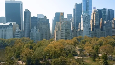 Aerial view of Central Park, New York, USA, Skyscrapers on background. Luxury Stock Footage 90765636