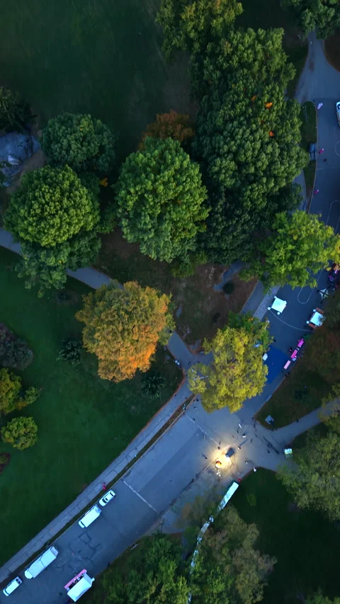 Aerial view of Central Park roads and trees at golden hour Видео 329748699