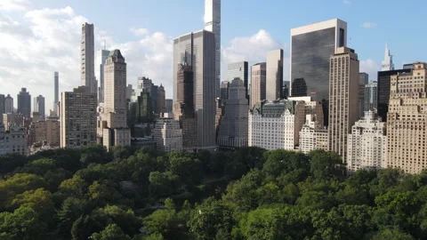 Aerial view - Centrsal Park - Midtown Manhattan Video stock 247258662