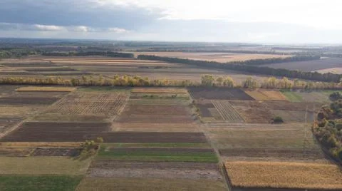 Aerial view of cereal fields after the harvest with haystack and tractor tread Foto stock