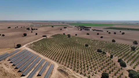 Aerial view of cereal fields, almond groves, with a photovoltaic plant Stock Footage 272482137