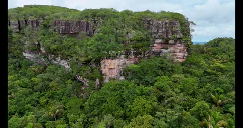 Aerial View of Cerro Azul Surrounded by Lush Canopy Video stock 336561962