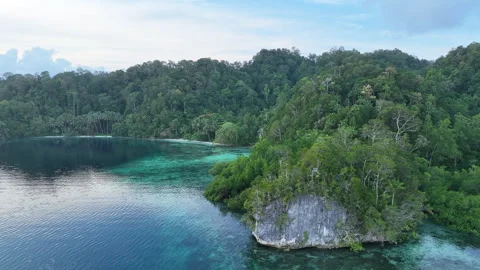 Aerial View of Challow Reef and Idyllic Tropical Island in Raja Ampat Video stock 255332759