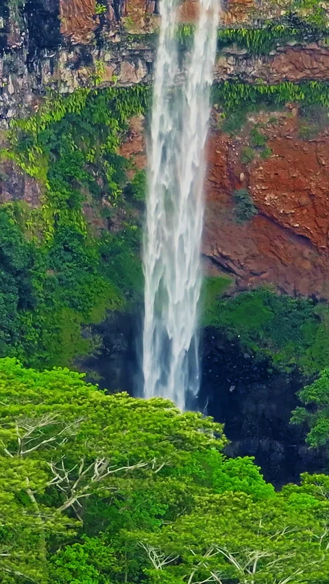 Aerial view of Chamarel Waterfall, plunging from verdant cliff into shadowy 库存影片 343467584