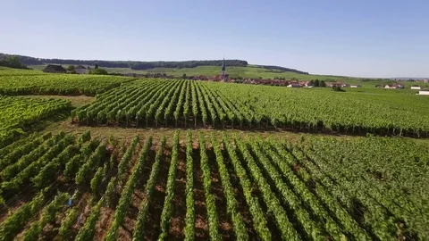 Aerial view of Chamery Stock Footage 71794681