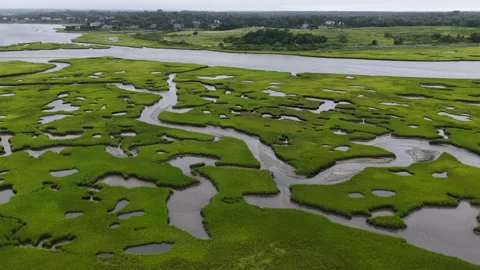 Aerial View of Channels Coursing Through a Scenic Cape Cod Salt Marsh Stock Footage 341700722