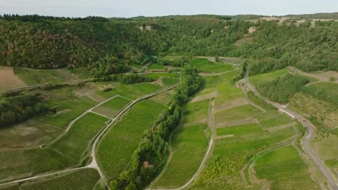 Aerial View of Chateau Chalon Reculee Valley and Vineyard Circus Vidéo 344620689