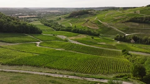 Aerial View of Chateau Chalon Vineyard and Local Traffic 库存影片 344620688