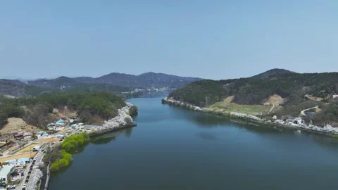 Aerial View of Cherry Blossoms at Gobok Reservoir Stock Footage 325961115