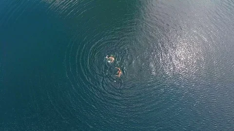 Aerial view - children having fun in water outdoors Stock Footage 81161539