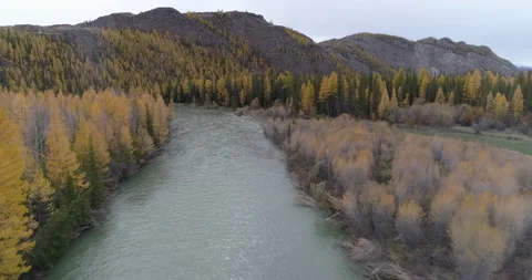 Aerial view of Chuya mountain river surrounded by forest and rocks, Altai Stock Footage 143841705