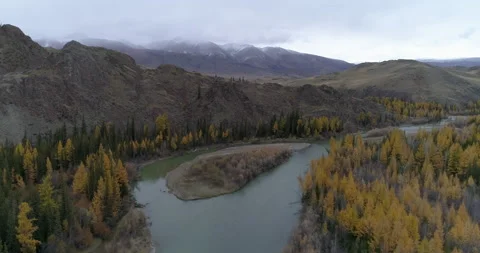 Aerial view of Chuya mountain river with rocky banks and autumn trees, Altai Stock Footage 143847078