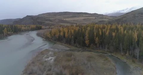 Aerial view of Chuya river flowing near hills and autumn trees, Altai Stock Footage 143835390