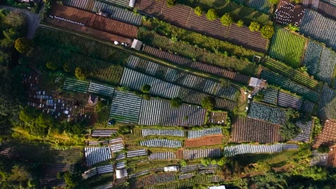 Aerial view of Cihideung agricultural fields in West Java, Indonesia. Vídeos de archivo 341940124