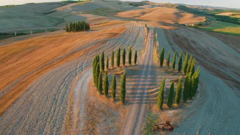 Aerial view of the circle of cypress trees in Tuscany countryside. 動画素材 138420743