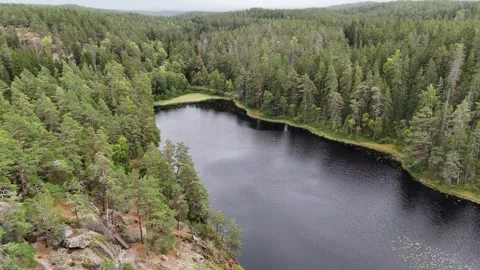 Aerial View Circles a Dark Forest Lake and Granite Shore in Sweden Vidéo 347676502