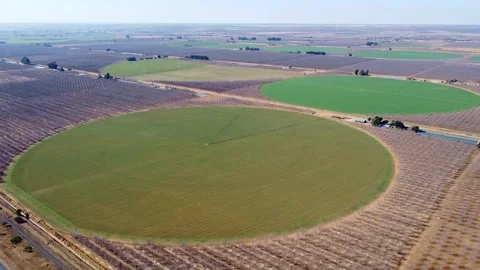 Aerial view of circular agricultural fields with irrigation systems in a rural Stock Footage 308954698