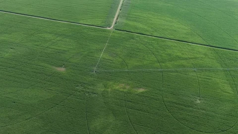Aerial view of circular irrigation patterns in Hombourg, France. Stock Footage 339633673