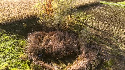 Aerial view of a circular marsh surrounded by corn fields and grassy areas, Foto stock