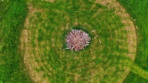 Aerial view of circular meadow pattern in Latvia. Stock Footage 340565503
