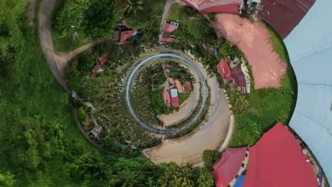 Aerial view of circular path surrounded by tall palm trees and green foliage Видео 345398676