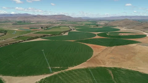 Aerial view of circular pattern cropland irrigated by center pivot Stock Footage 333632135