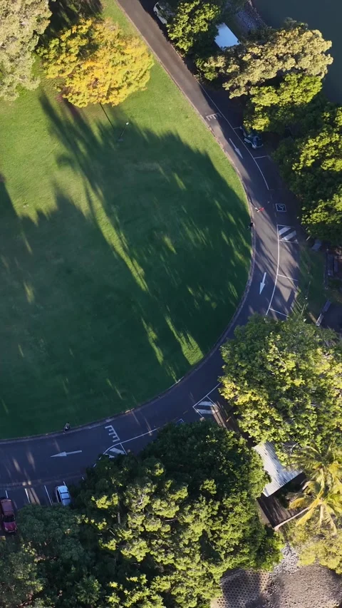Aerial View of Circular Road and Park in Surfers Paradise Video stock 344619563