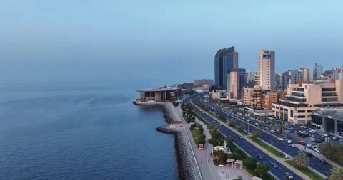 Aerial view of city beach	 Stock Footage 248014294