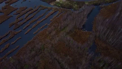 Aerial View of City Garbage Dump and City behind it. Industrial. Video stock 143614709