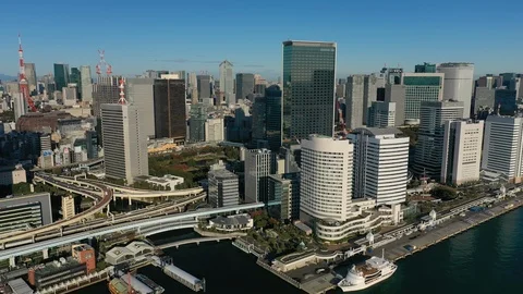 Aerial view of city of Tokyo, skyscrapers skyline of modern capital of Japan Stock Footage