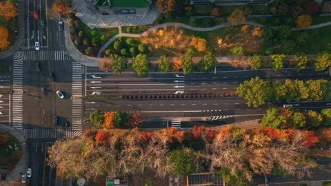 Aerial view of city traffic at intersection in China during autumn season Video stock 324699782