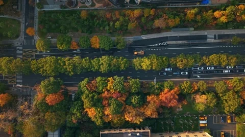 Aerial view of city traffic at intersection in China during autumn season Stock Footage 325545434