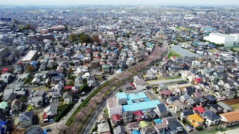 Aerial view of the cityscape Stock Footage 320586934