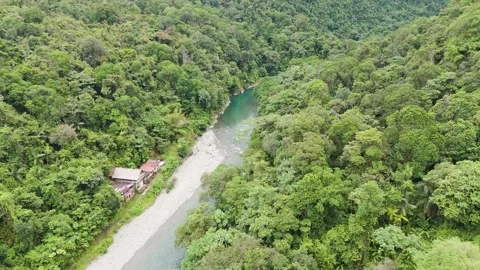 Aerial view of clear river beside lush green forest Vídeo Stock 329828080