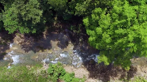 Aerial View of a Clear Stream Flowing Through a Verdant Forest Stock Footage 295792843