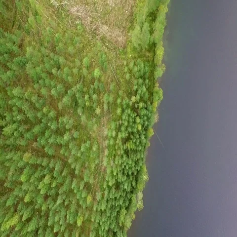 Aerial view of clearcut logging area in a Nordic forest by a lake Stock Footage 69556310