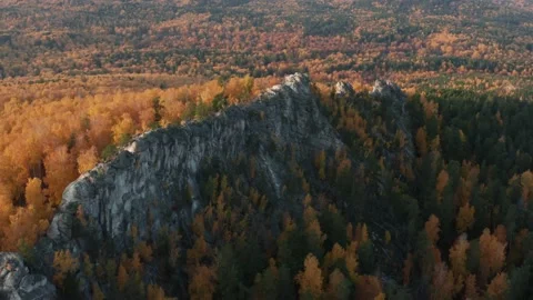 Aerial view of a cliff surrounded by a bright autumn forest at sunset Stock Footage 146938714