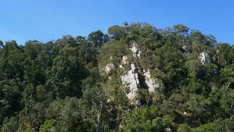 Aerial view of cliffs in tropical rain forest from Cairns Skyrail in Australia Stock Footage 93936636