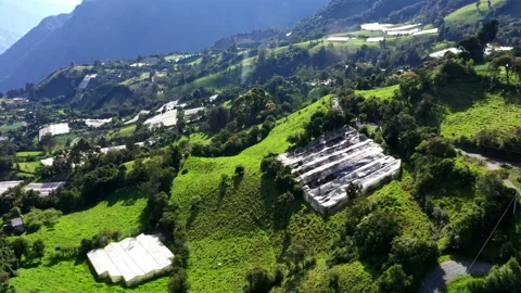 Aerial view, close up of meadows separated by greenhouses Stock Footage 236778261