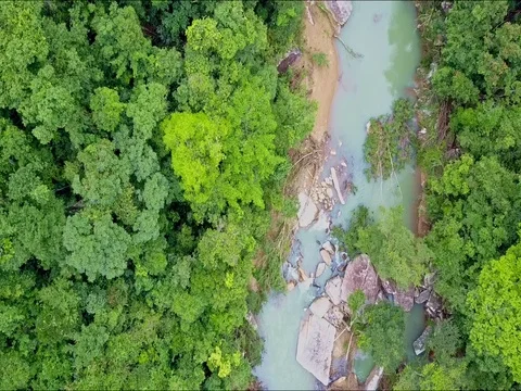 Aerial View Close Motion along Jungle and Rocky River 스톡 동영상 76238752
