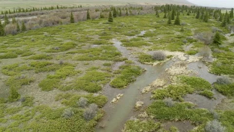 Aerial view, close. Overflow of the river in green valley. Conifer bushes, firs. Stock Footage 146512364