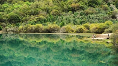 Aerial View of Close-up Reflection of Lake in Jiuzhaigou Sichuan China Video stock 336883944