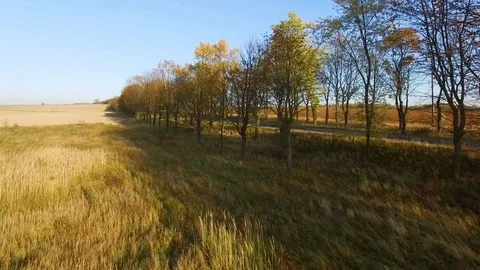 Aerial view close to young man riding motorcycle at autumn sunset Stock Footage 81245247
