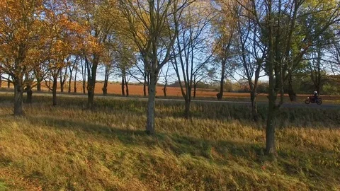 Aerial view close to young man riding motorcycle at autumn sunset Stock Footage 81246098