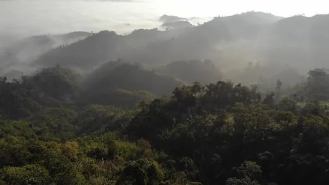 Aerial View of Cloud-Covered lush Mountains in Sajek Valley, Bangladesh Stock Footage 285280829