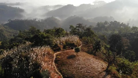 Aerial View of Cloud-Covered lush Mountains in Sajek Valley, Bangladesh Stock Footage 285281919