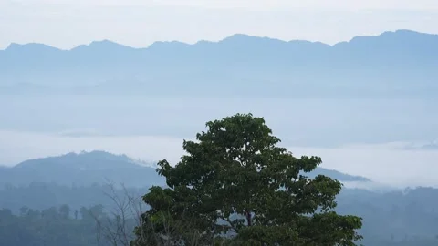 Aerial View of Cloud-Covered lush Mountains in Sajek Valley, Bangladesh Stock Footage 285293289