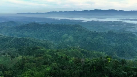 Aerial View of Cloud-Covered lush Mountains in Sajek Valley, Bangladesh Stock Footage 285305651